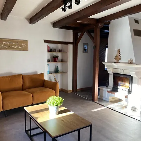 Maison Vosgienne 2 A 8 Personnes Feriehus Rochesson