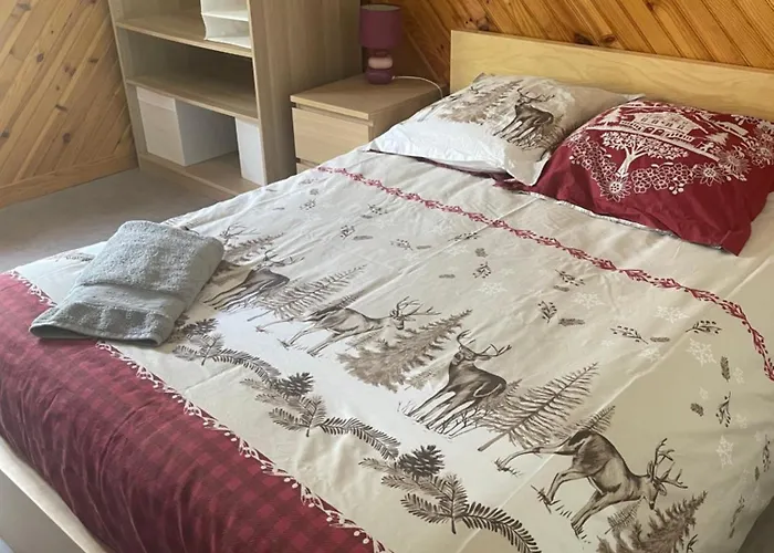 Maison Vosgienne 2 A 8 Personnes